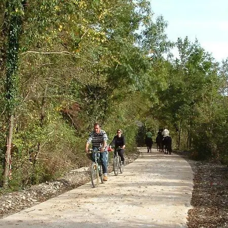 Camping 4 étoiles - Piscine - ccbadea Campeggio