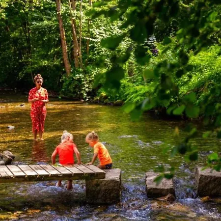 4 Etoiles - Piscine - Ccbadea La Bastide-de-Serou