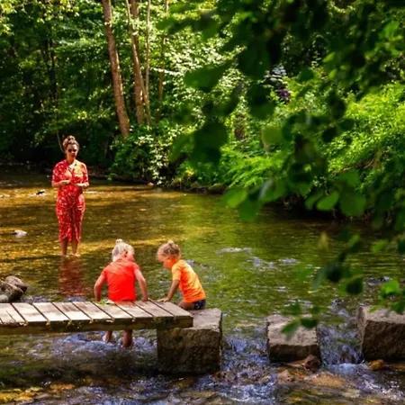 Zecamping 4 Pet Friendly Club Enfant Piscine Bar Et Restanrant Campingplads