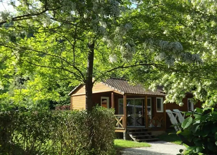 4 Etoiles - Piscine - Ccbadea Campingplads La Bastide-de-Sérou