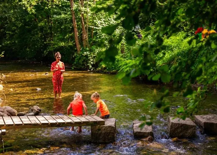 4 Etoiles - Piscine - Ccbadea La Bastide-de-Sérou